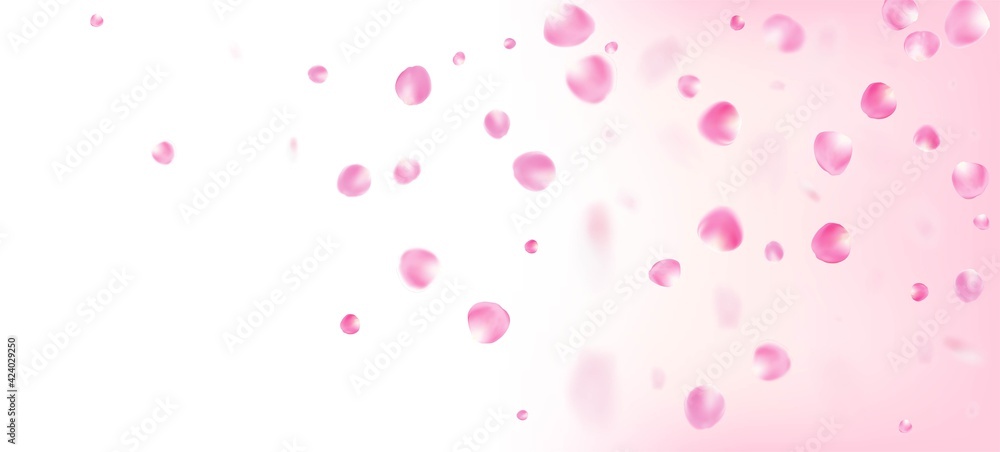 Rose Petals Falling Confetti. Falling Japanese Rose Cherry Sakura