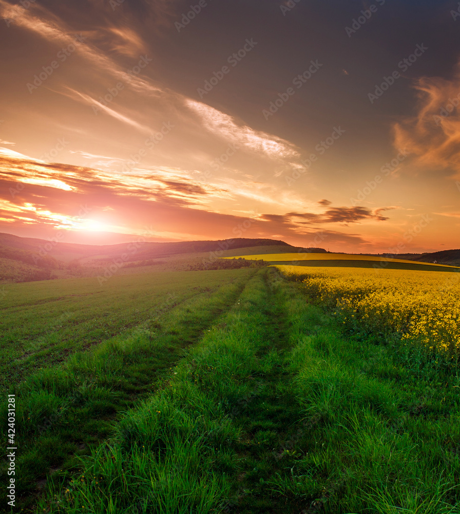 Spring landscape green road lush grass on background fields, hills and dramatic colorful sunset sky and clouds