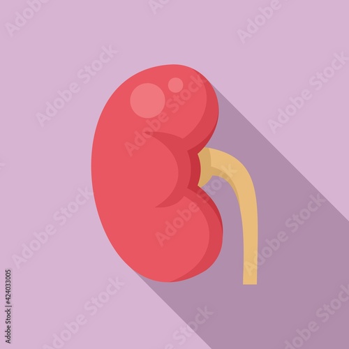 Pain kidney icon, flat style