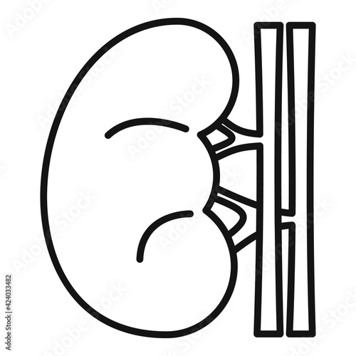 Renal kidney icon, outline style