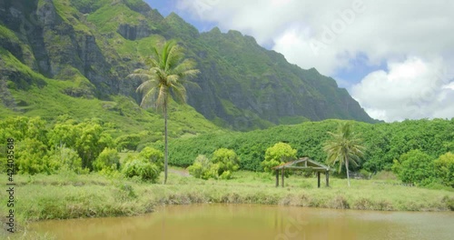 Remote tropical landscape in Kualoa Ranch, wide