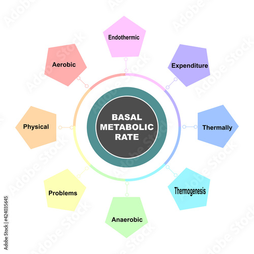 Diagram concept with Basal Metabolic Rate text and keywords. EPS 10 isolated on white background