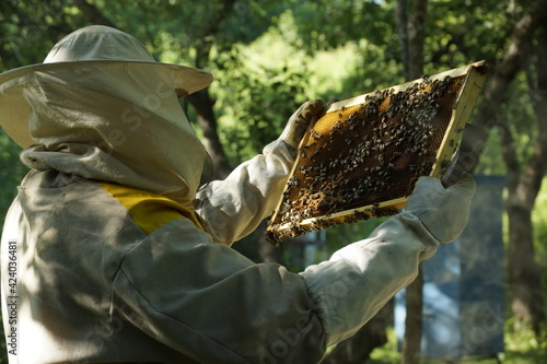 beekeeper at his apiary in the summer