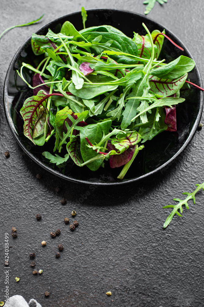 healthy salad green fresh lettuce, chard, leaves arugula, spinach, iceberg, Romano mix salad snack meal top view copy space rustic food background healthy salad green fresh lettuce, chard, leaves arugula, spinach, iceberg, Romano mix salad snack meal top view copy space rustic food background