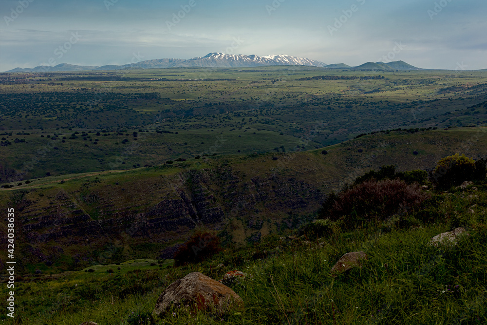 Naklejka premium Morning near Gamla National Park