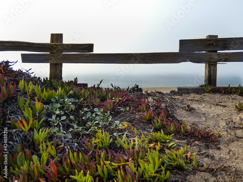 Wooden fence at beach