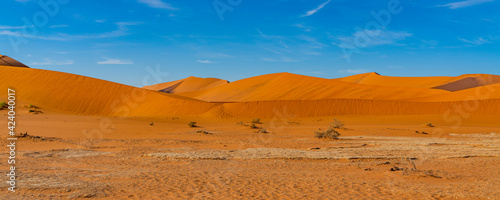 On the way to Deadvlei Ssossusvlei surrounded by great dunes. Red sand. Panoramic view.