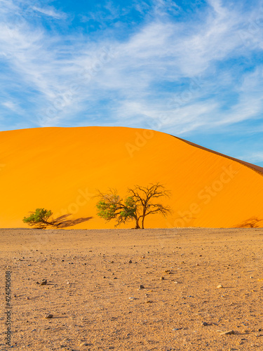 Dunes of Namib Desert at Sossusvlei in the morning time, Namibia. vertical