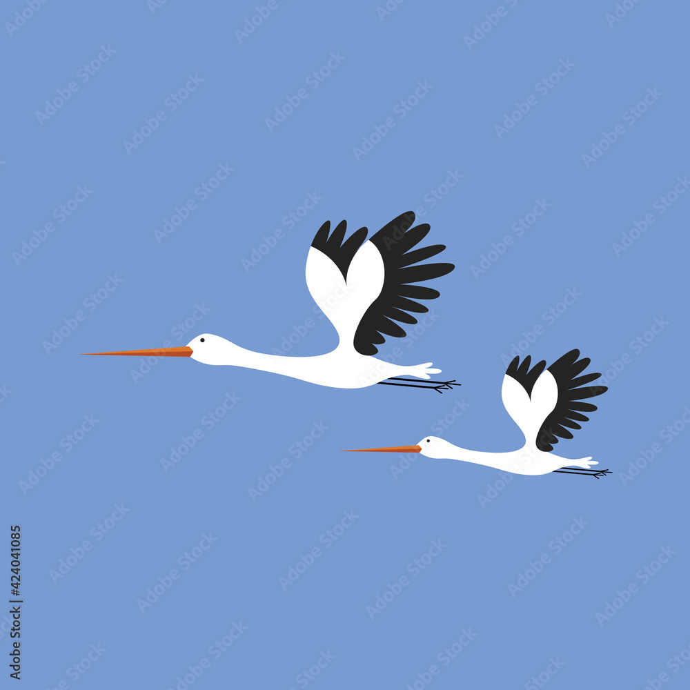Obraz premium Vector illustration of storks on blue background, birds set cartoon style.
