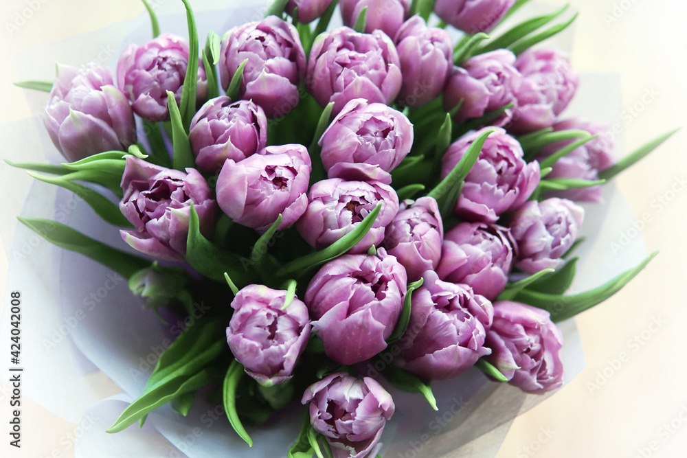 bouquet of pink purple tulips close up top view bouquet of pink purple tulips close up top view