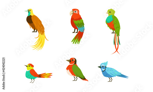 Tropical Exotic Birds Collection  Beautiful Bright Parrots Cartoon Vector Illustration