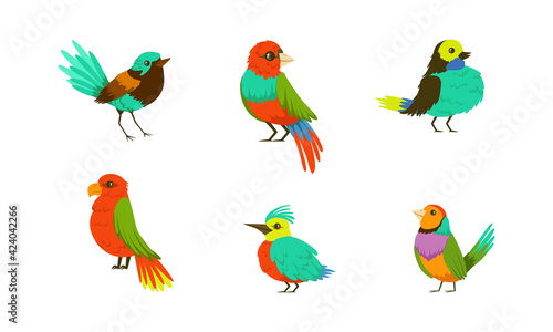 Tropical Birds Collection, Bright Exotic Birds Cartoon Vector Illustration on White Background