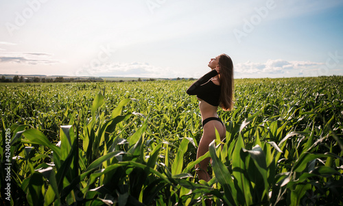 Photo Sensual young woman with a slim figure enjoys a sunny summer day in cornfield