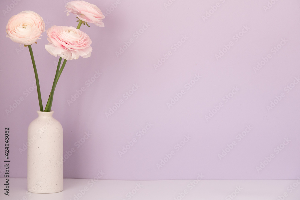 Persian buttercup. Bunch pale pink ranunculus flowers light background. Persian buttercup. Bunch pale pink ranunculus flowers light background.