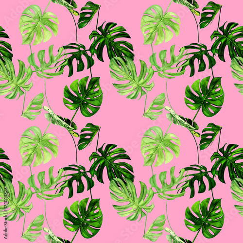 Watercolor illustration seamless pattern of tropical leaf monstera. Perfect as background texture, wrapping paper, textile or wallpaper design. Hand drawn