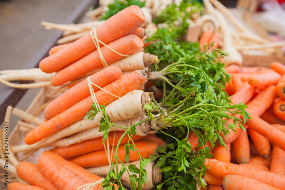 Bunch of carrots at local green farmers market Bunch of carrots at local green farmers market
