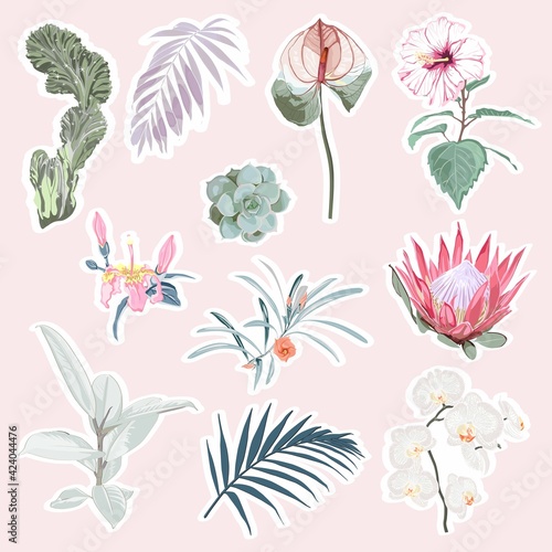 Set of tropical protea  hibiscus flowers and leaves elements. Set of stickers  pins  patches and handwritten notes collection stikers kit.