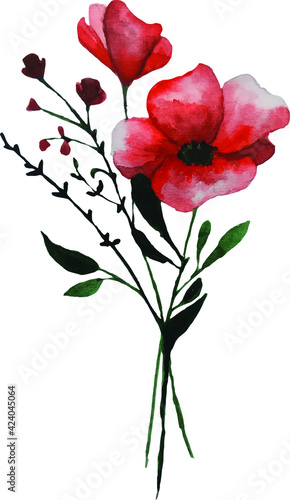 cute little bouquet of poppies watercolor hand drawn vector colorful spring illustration