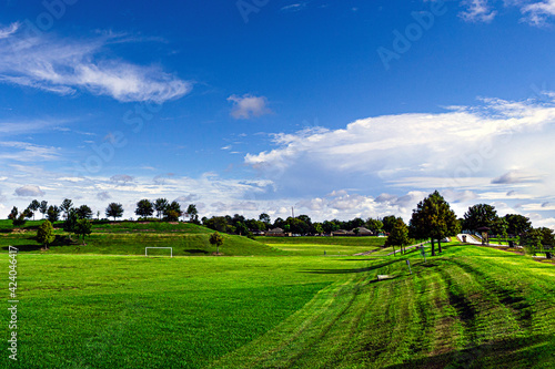 field with blue sky