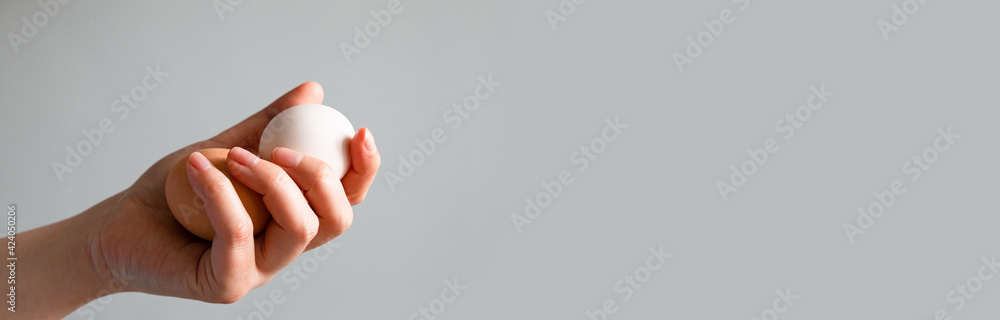 Female hand holding Easter brown chicken egg isolated on grey background Female hand holding Easter brown chicken egg isolated on grey background