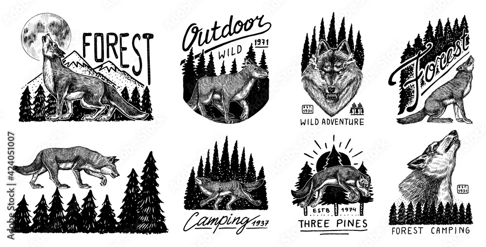 Gray wolf logo and badge. Forest and mountain and hill. Double exposure Concept. A predatory beast. Wild forest animal. Vector Engraved hand drawn Vintage old sketch for tattoo, t-shirt or typography.