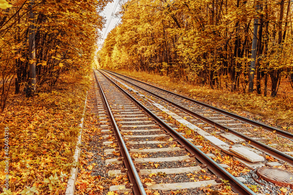 Autumn forest with golden trees and fallen leaves on rails, sleepers