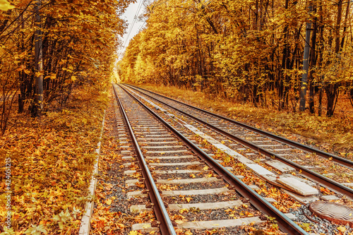 Autumn forest with golden trees and fallen leaves on rails, sleepers