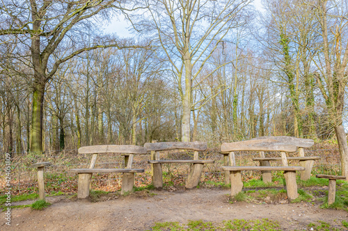 Set of wooden benches on a hill in the Dutch countryside with abundant bare trees in the background, cloudy day in Valkenburg aan de Geul in South Limburg, Netherlands