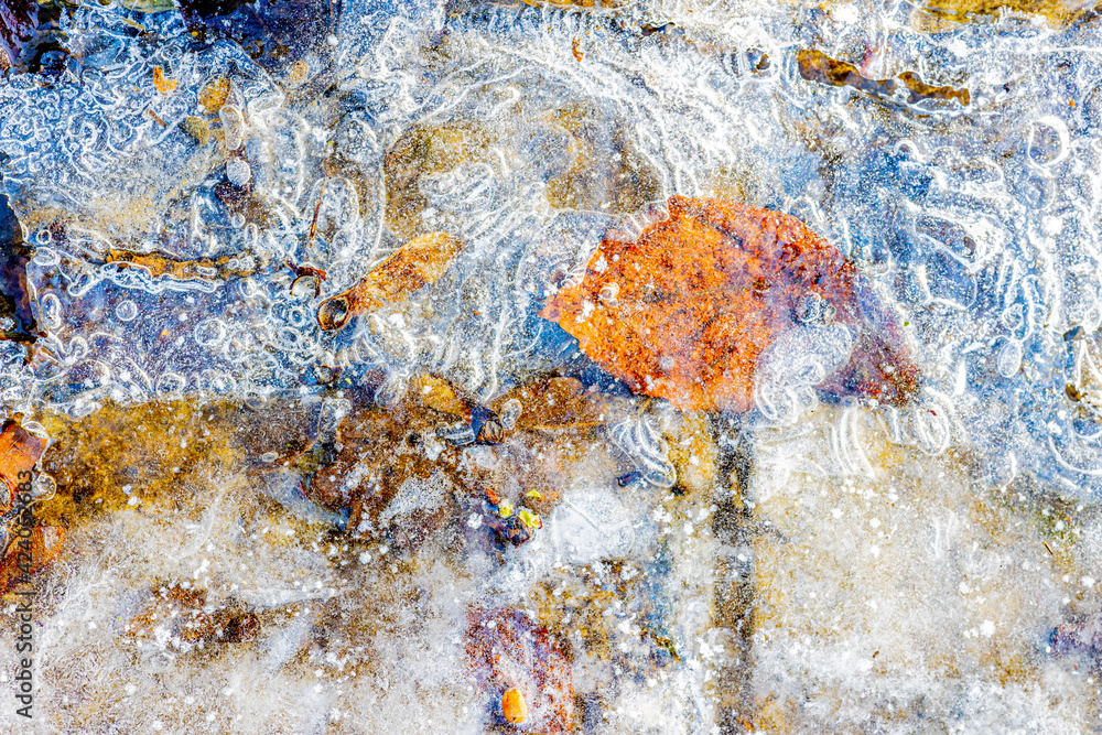 Fototapeta premium Close-up of brown stones and bubbles trapped on the surface of frozen ice water with frost in a pond on a winter day. Frozen water texture