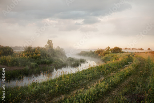 Colorful sunrise in a meadow with fog notched