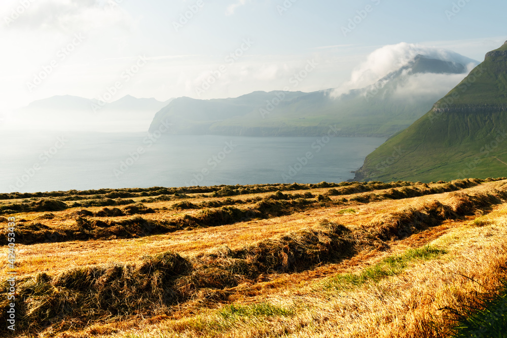 Fototapeta premium Wonderful summer scene with dried hay on outskirts of Velbastadur village, Faroe Islands, Denmark, Europe