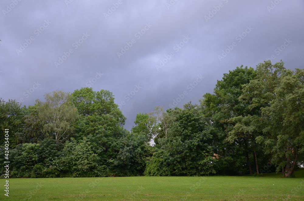 Fototapeta premium calm before the storm