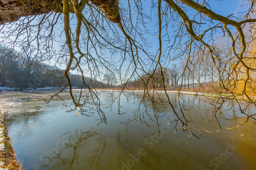 Branches of a bare tree on a pond with its frozen waters, sunny winter day with a blue sky in Kasteelpark Elsloo, South Limburg, Netherlands Holland photo