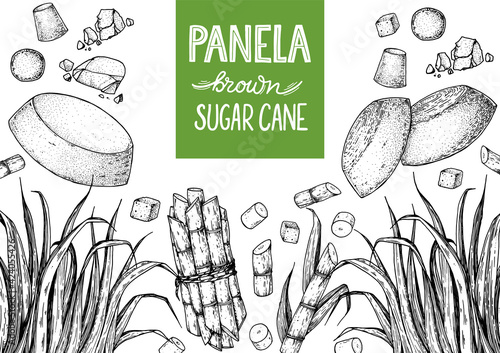 Panela sugar sketch. Hand drawn vector illustration. Vintage design template. Cane sugar. Gur or jggery powder. Organic unrefined. Vintage Design for packaging.