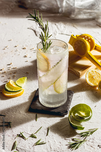 Freah summer gin and tonic cocktail