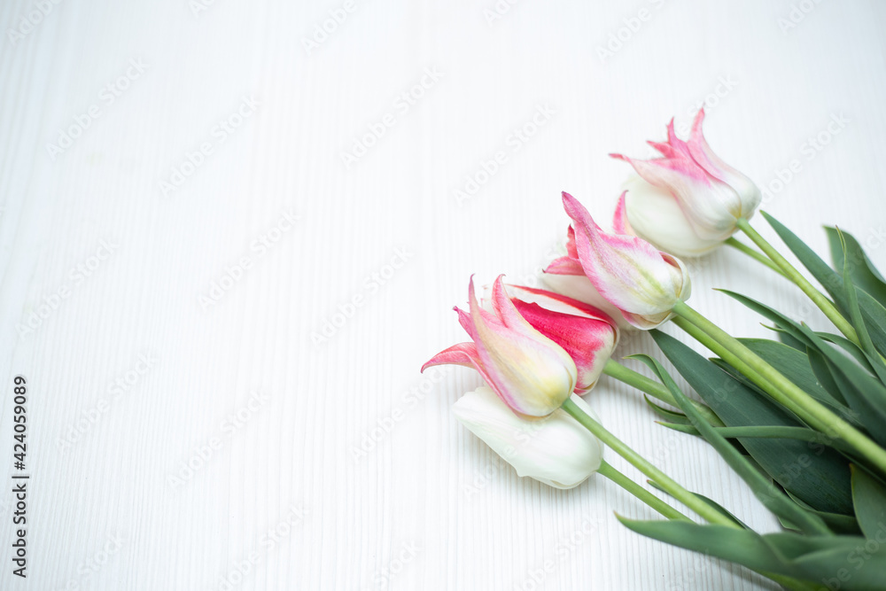 Fototapeta premium bouquet of tulips