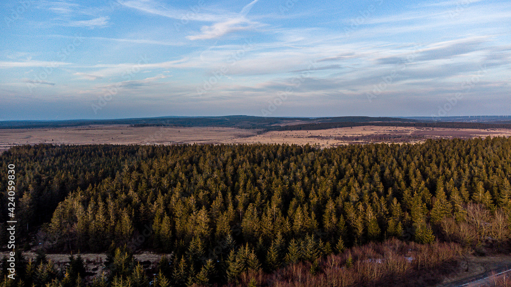 Obraz premium Fagnes, de début d'été