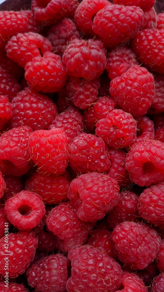close up of raspberries close up of raspberries