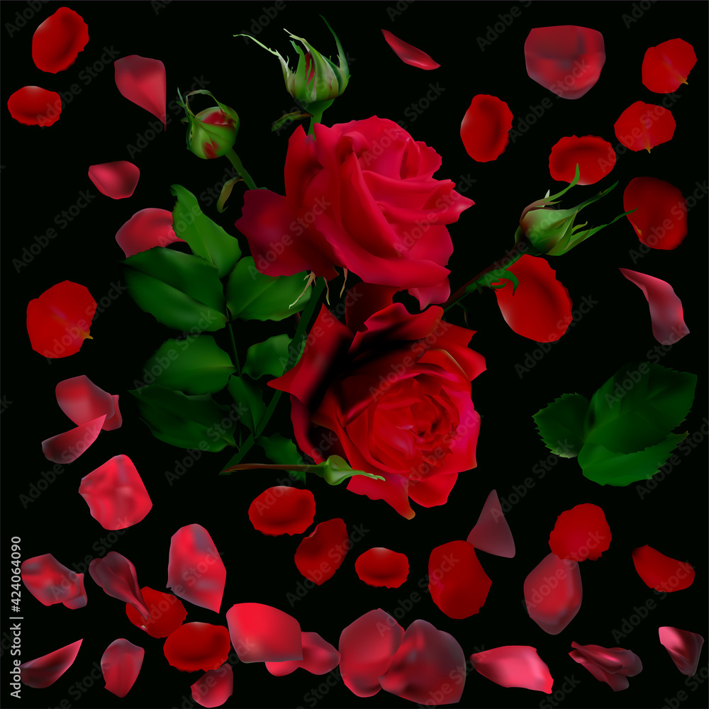 two dark red rose flowers and petals on black two dark red rose flowers and petals on black