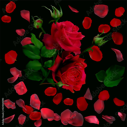 Fototapeta Naklejka Na Ścianę i Meble -  two dark red rose flowers and petals on black