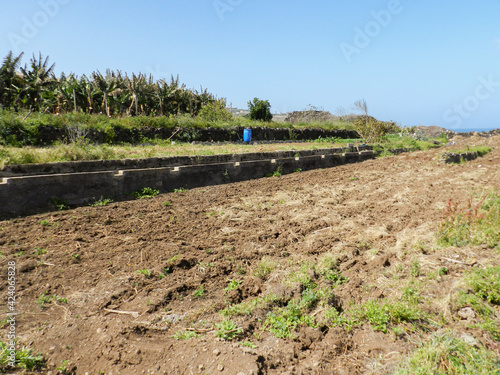 Fotografija Ploughed fallow field