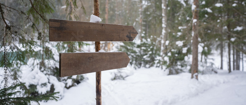 Signpost wooden in the forest © Alex