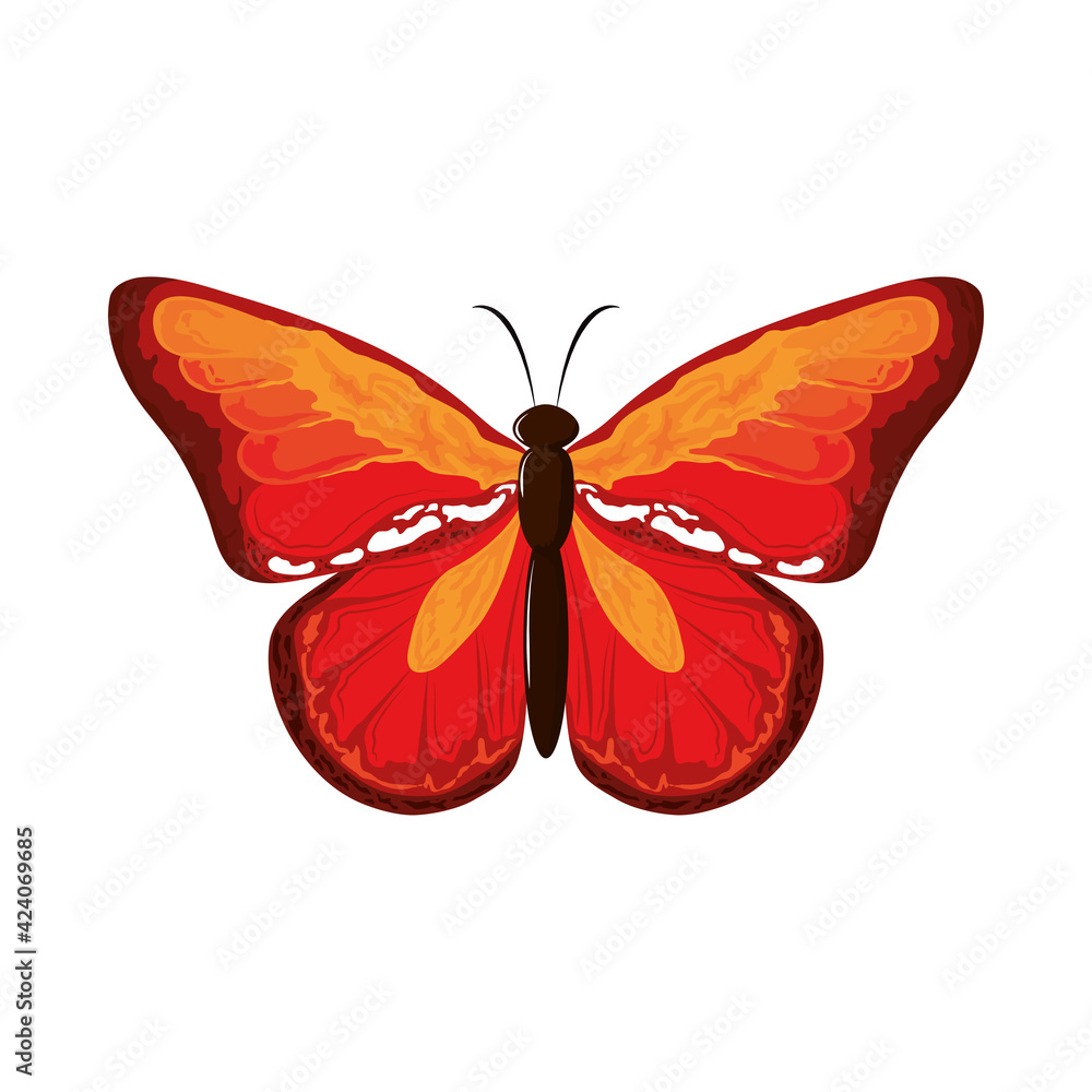 cute watercolor butterfly