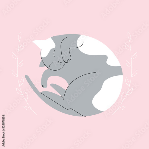 Gray Cat Sleeping in curled position. Cute lying Sleep Kitty. Vector isolated flat illustration adorable kitten silhouette on pink background with line art leaves