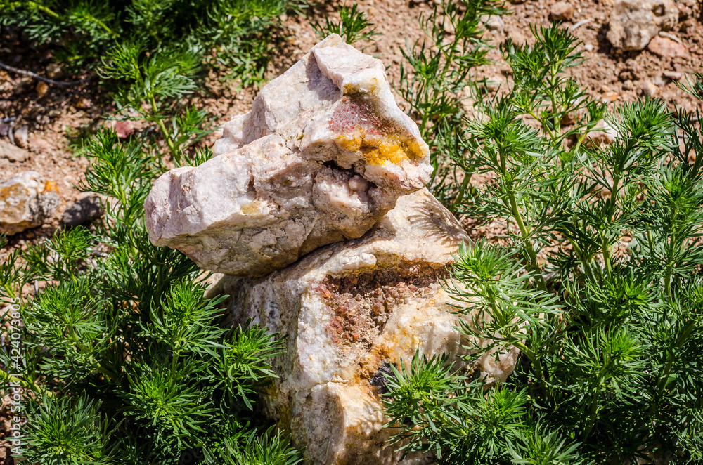 Minerals stones between plants in nature of Morocco Minerals stones between plants in nature of Morocco