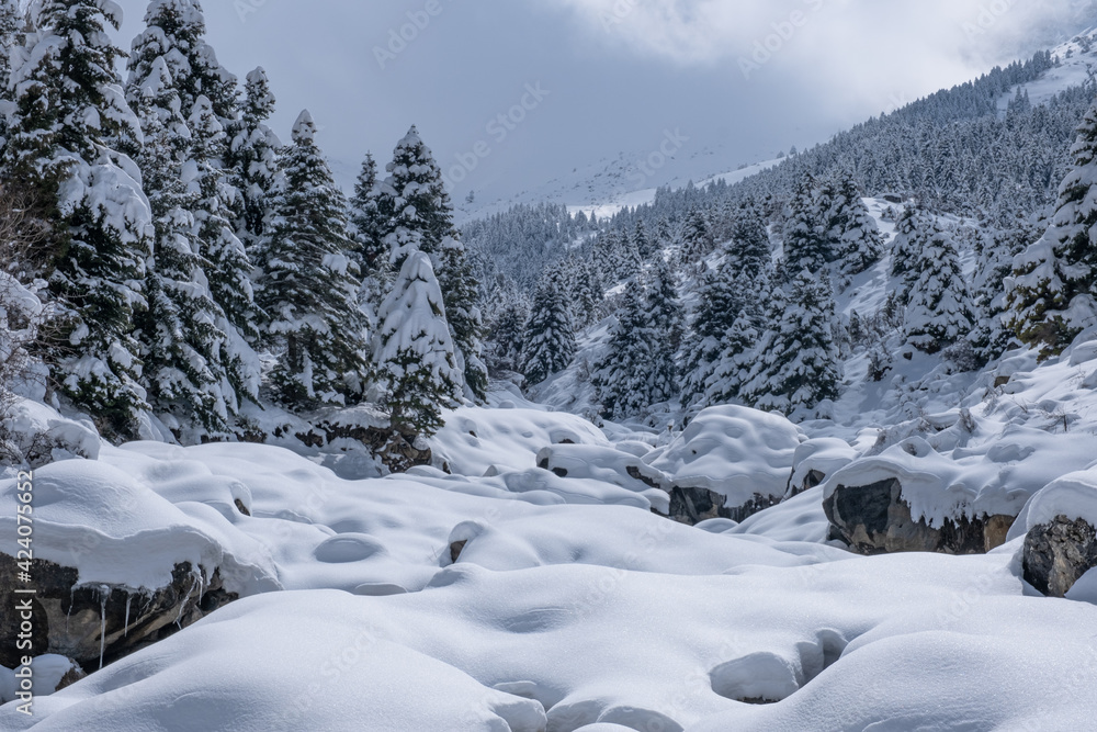 The theme of silence in the forest with the therapeutic winter landscapes, abundant and fertile snow falling in the mountains