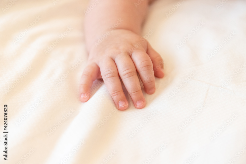 hand of a newborn baby on the background of a white blanket. small fingers. happy family concept hand of a newborn baby on the background of a white blanket. small fingers. happy family concept