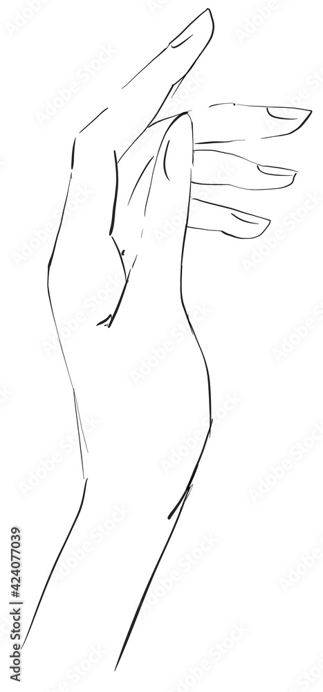 Hand drawn line art hands. Elegant black contour drawing. Minimal fine art illustration on white background. Black and white elegant line drawing. Can be used for logo, pattern, print Hand drawn line art hands. Elegant black contour drawing. Minimal fine art illustration on white background. Black and white elegant line drawing. Can be used for logo, pattern, print
