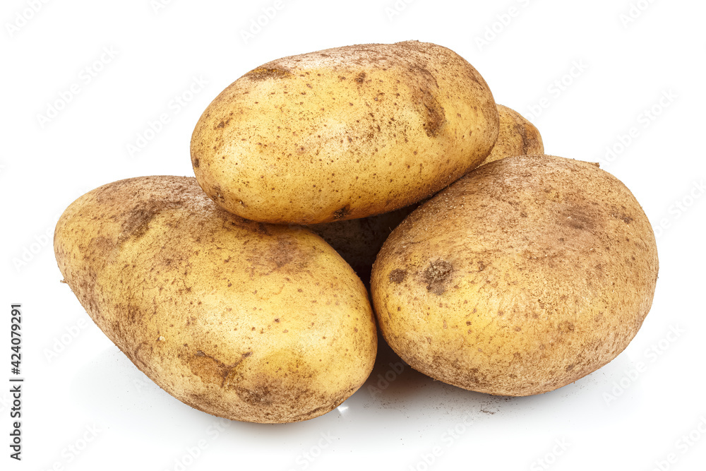 Unwashed ripe potatoes in heap isolated on white background Unwashed ripe potatoes in heap isolated on white background