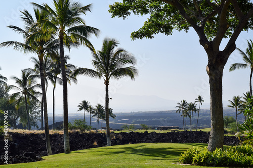 ハワイ島の情景